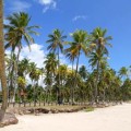 Beachfront in Bahia