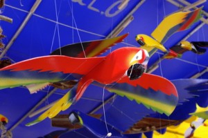 craftsmenship birds - brazilian araras