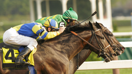 Close-Up of Neck and Neck Horse Race