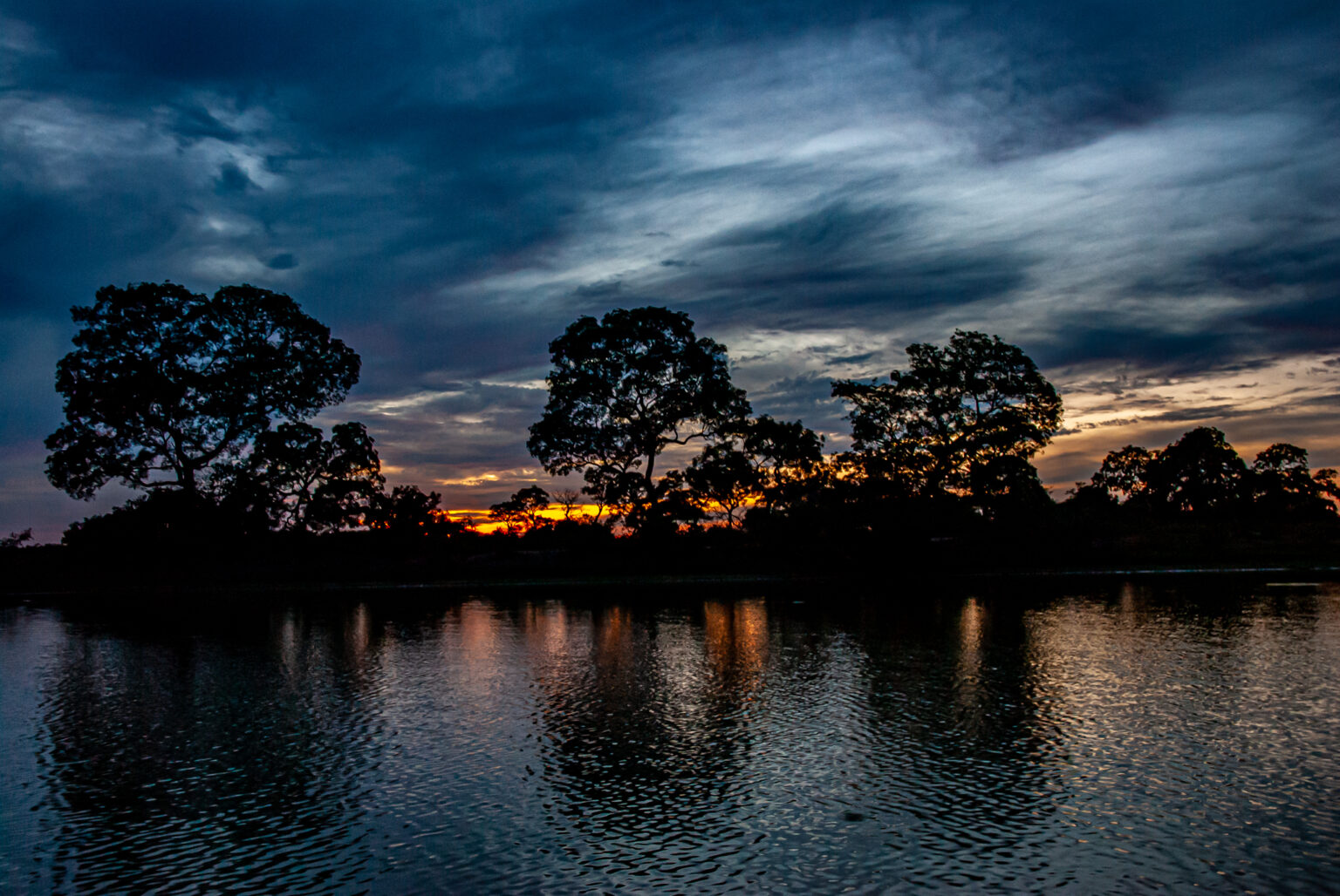 Flora des Pantanal » BrasilienPortal