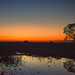 Sunset in the Pantanal, Brazil