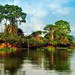 Pantanal Matogrossense
