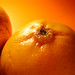 laranja-tangerina