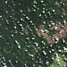 Terra Indígena Tenharim Marmelos (Gleba B) em imagem do satélite CBERS4 de ontem / Tenharim Marmelos (Gleba B) Indigenous Land on yesterday´s CBERS4 satellite image.