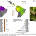 Smith et al. 2014 - Sclerurus mexicanus