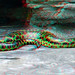 Gele Anaconda [ Eunectes notaeus] Blijdorp Amazonica Zoo Rotterdam 3D