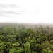 Grilagem em Rondônia_Drone_Alexandre Cruz Noronha.Amazonia Real (19)