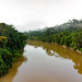 Grilagem em Rondônia_Drone_Alexandre Cruz Noronha.Amazonia Real (23)