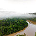 Grilagem em Rondônia_Drone_Alexandre Cruz Noronha.Amazonia Real (24)
