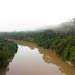 Grilagem em Rondônia_Drone_Alexandre Cruz Noronha.Amazonia Real (20)