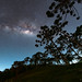 Milky Way 2023 - Gonçalves/MG - Araucárias - 1 - Explore, July 25, 2023