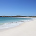 Pristine beach at Turtle Bay on East Wallabi Island, Abrolhos Island, Western Australia