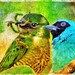 Swallow Tanager Couple