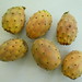 Prickly pears (Opuntia ficus-indica)