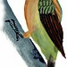 Cream-Colored Woodpecker (Celeus flavus)