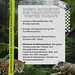 WWF Projekt Regenwald - 3