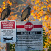 Buzzards await brash boaters