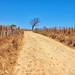 Estrada de terra